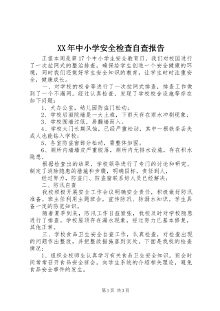 XX年中小学安全检查自查报告