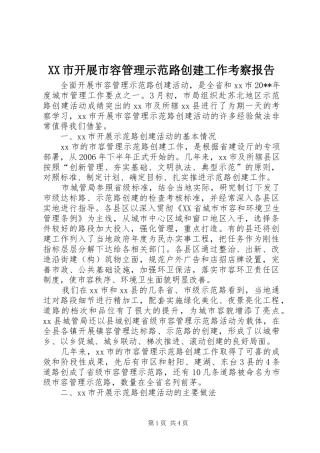 XX市开展市容管理示范路创建工作考察报告