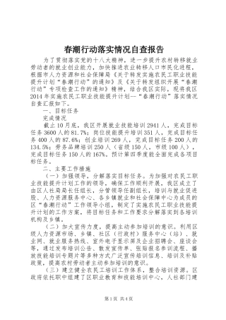 春潮行动落实情况自查报告