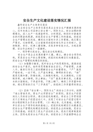 安全生产文化建设落实情况汇报