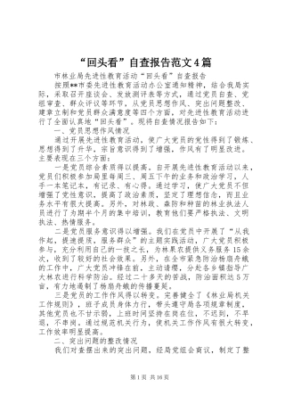“回头看”自查报告范文4篇