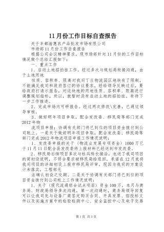 11月份工作目标自查报告