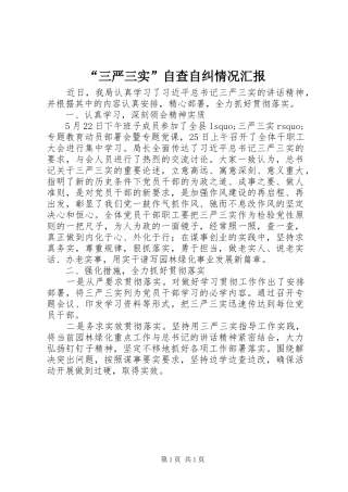 “三严三实”自查自纠情况汇报