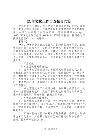 XX年文化工作自查报告六篇