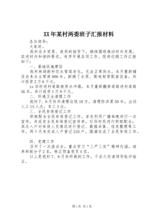 XX年某村两委班子汇报材料
