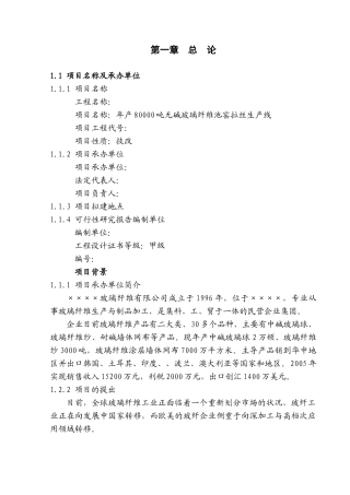 年产80000吨无碱玻璃纤维池窑拉丝生产线项目报告(DOC 134页)