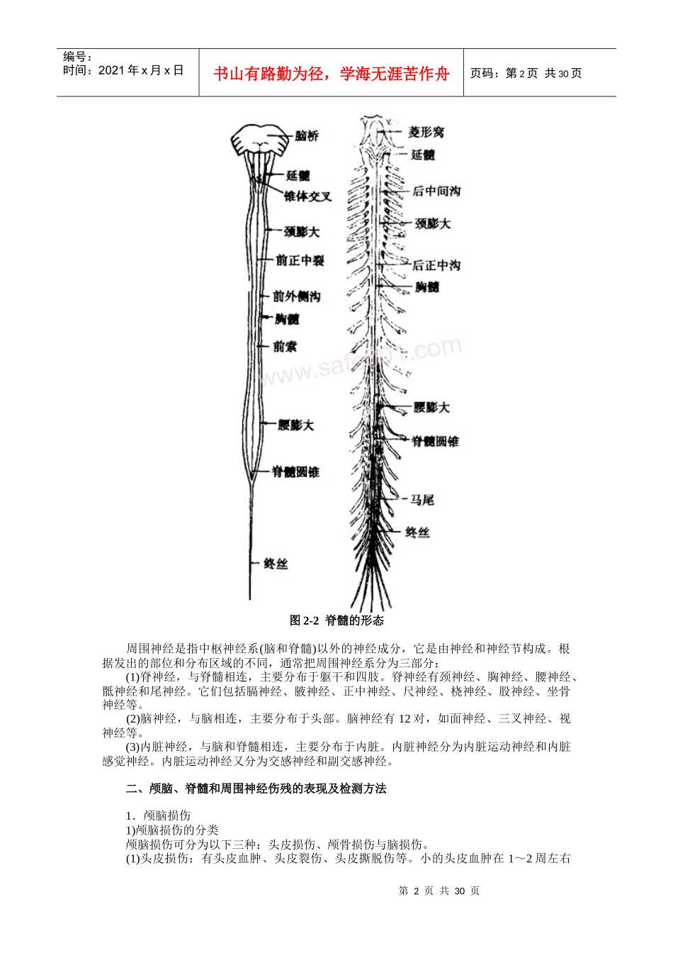 道路交通事故技术鉴定与理赔_第2页