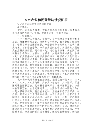 ×市农业和民营经济情况汇报