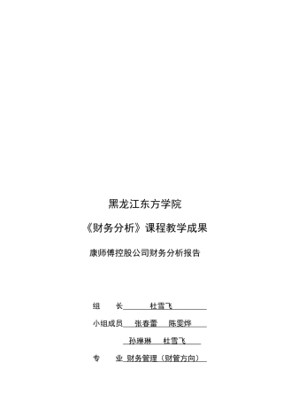 康师傅控股公司财务分析报告