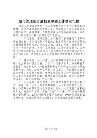 城市管理处开展扫黑除恶工作情况汇报