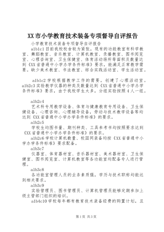XX市小学教育技术装备专项督导自评报告