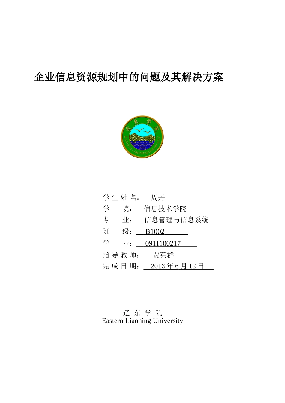 企业信息资源规划中的问题及其解决方案_第1页