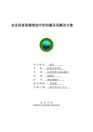 企业信息资源规划中的问题及其解决方案