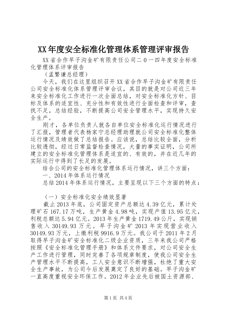 XX年度安全标准化管理体系管理评审报告_第1页