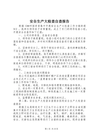 安全生产大检查自查报告