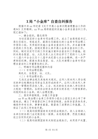 X局“小金库”自查自纠报告