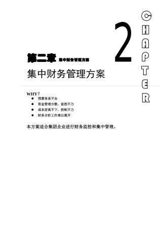 某集团财务管理的解决方案
