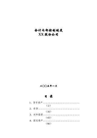 某股份公司会计内部控制制度( 164页)