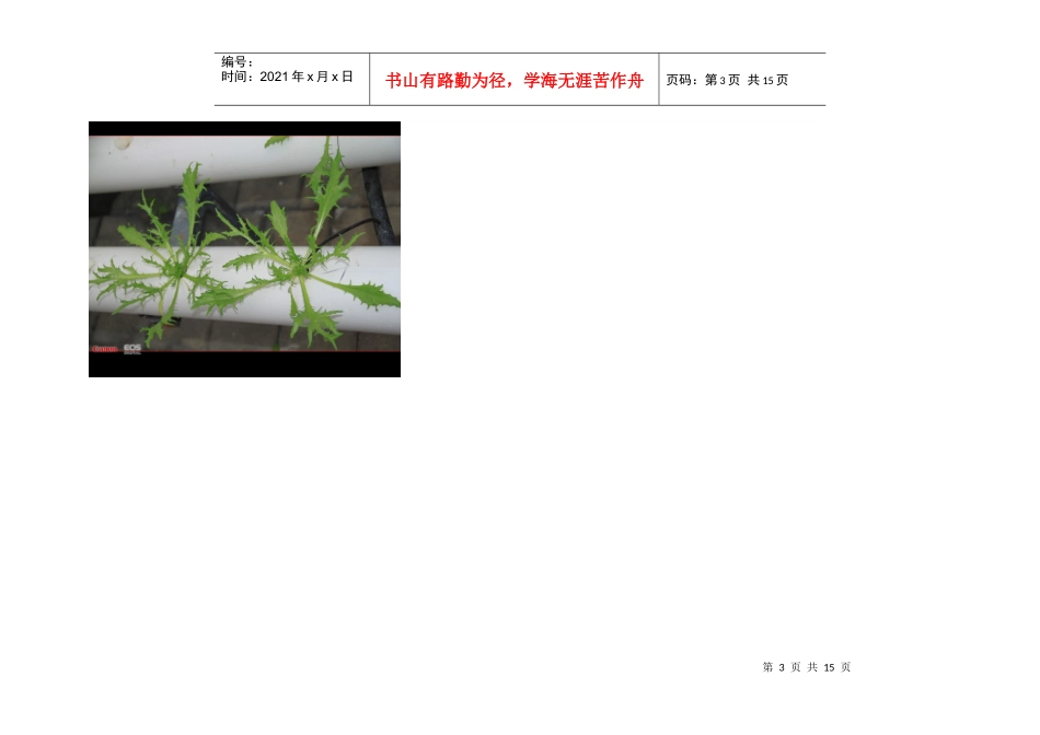 长春现代农业博览园_第3页