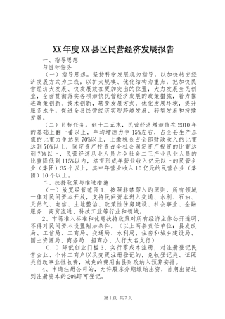 XX年度XX县区民营经济发展报告