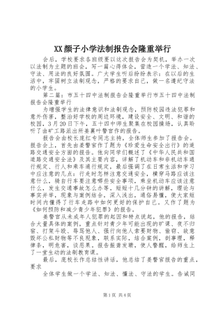 XX颜子小学法制报告会隆重举行