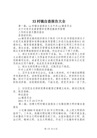 XX村镇自查报告大全