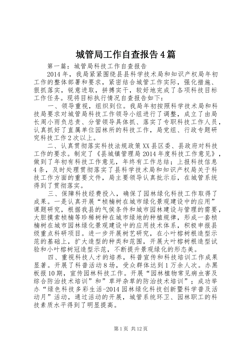 城管局工作自查报告4篇_第1页