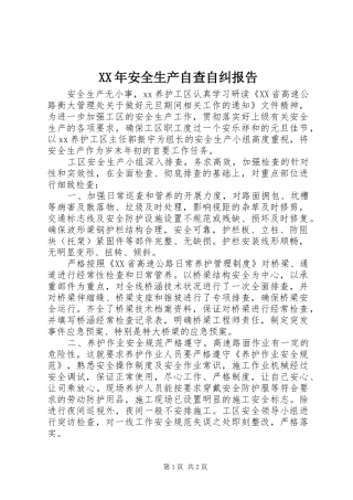 XX年安全生产自查自纠报告