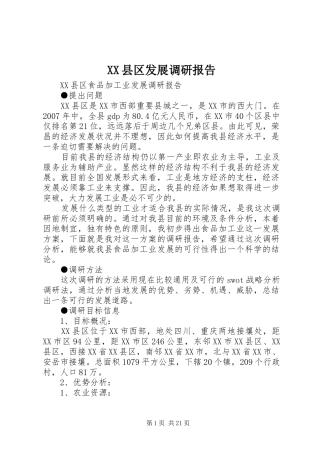 XX县区发展调研报告