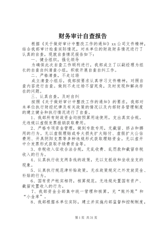 财务审计自查报告