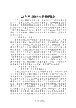 XX年严以修身专题调研报告