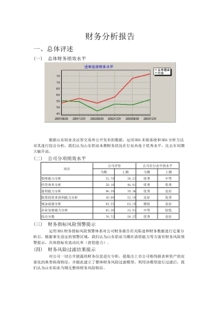 某某公司财务分析报告模版