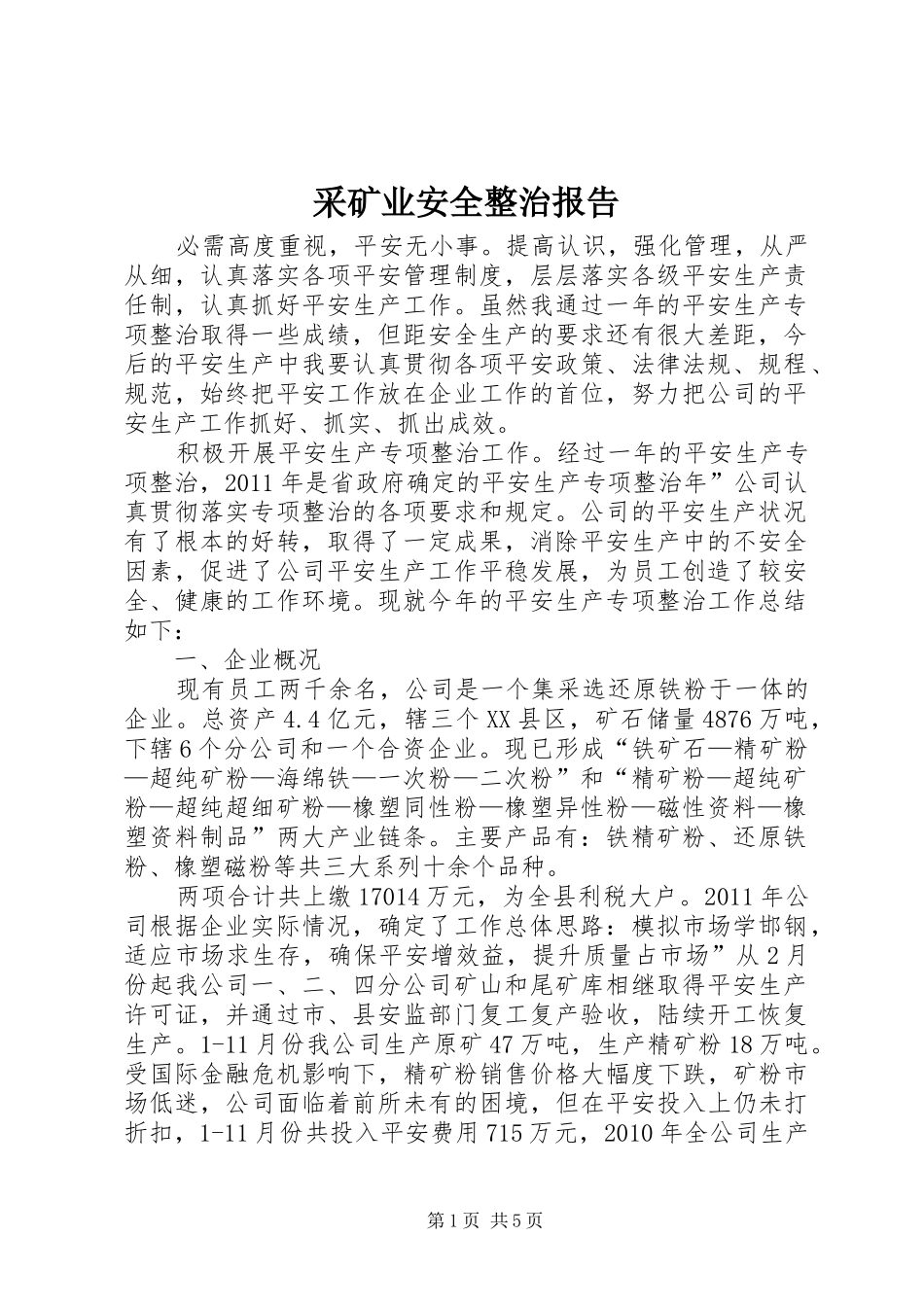 采矿业安全整治报告_第1页