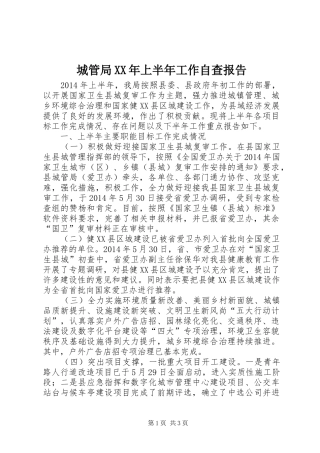 城管局XX年上半年工作自查报告