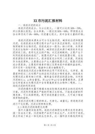 XX市污泥汇报材料