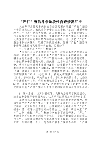 “严打”整治斗争阶段性自查情况汇报