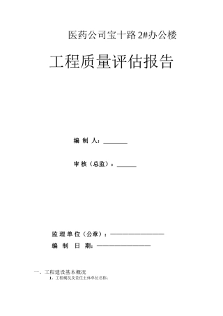 评估报告 Microsoft Word 文档 (2)