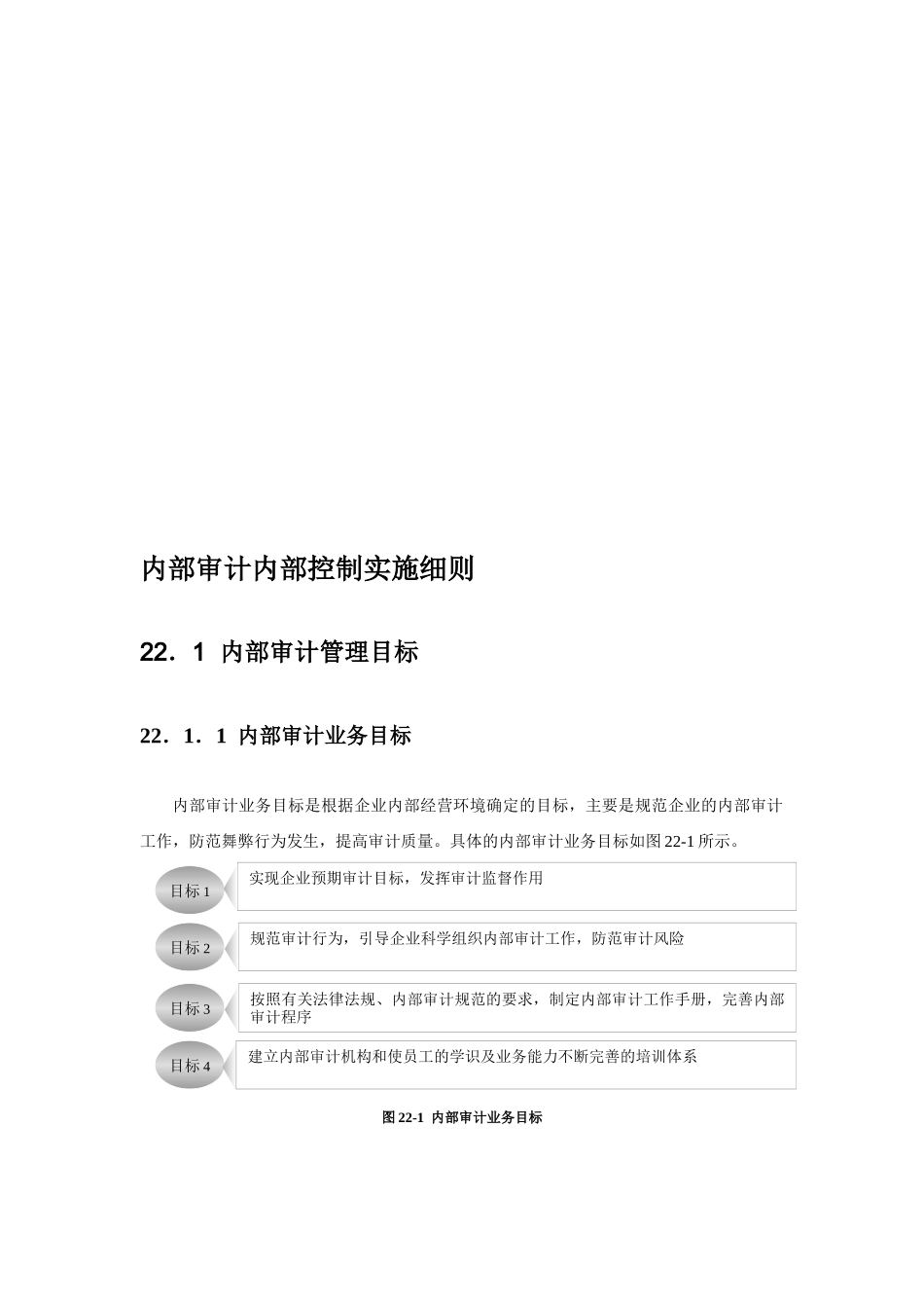 内部审计业务风险与业务流程_第1页