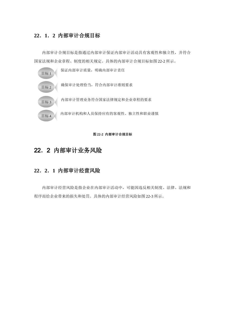 内部审计业务风险与业务流程_第2页