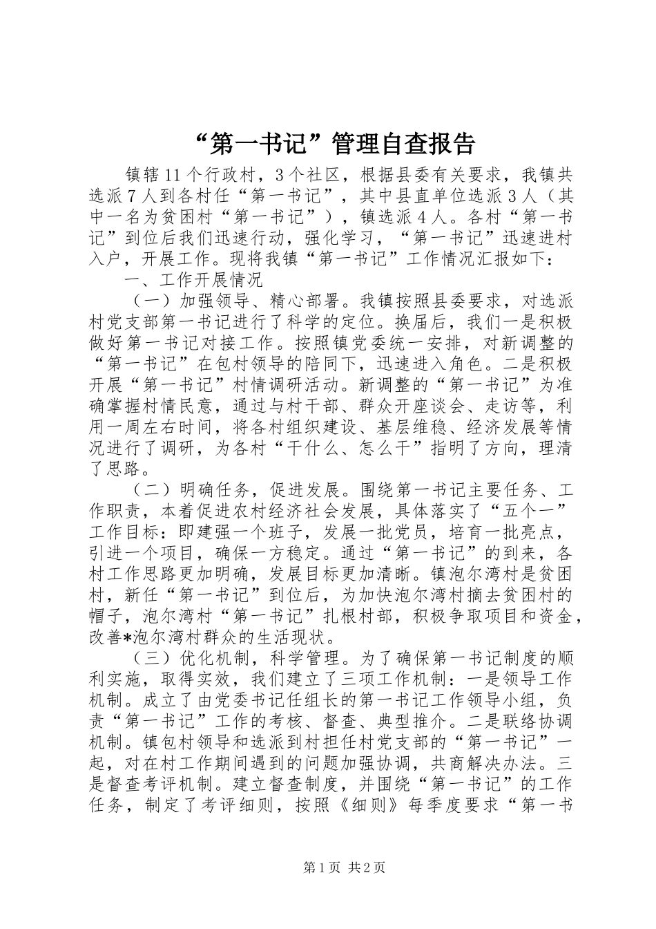 “第一书记”管理自查报告_第1页