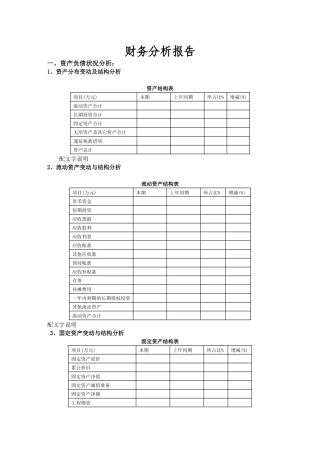 某集团公司财务分析模板
