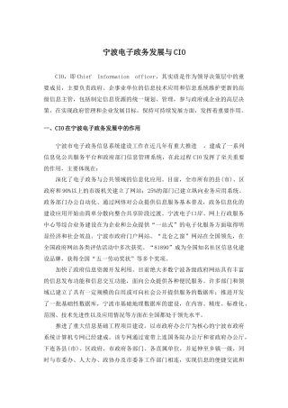 宁波电子政务发展与CIO