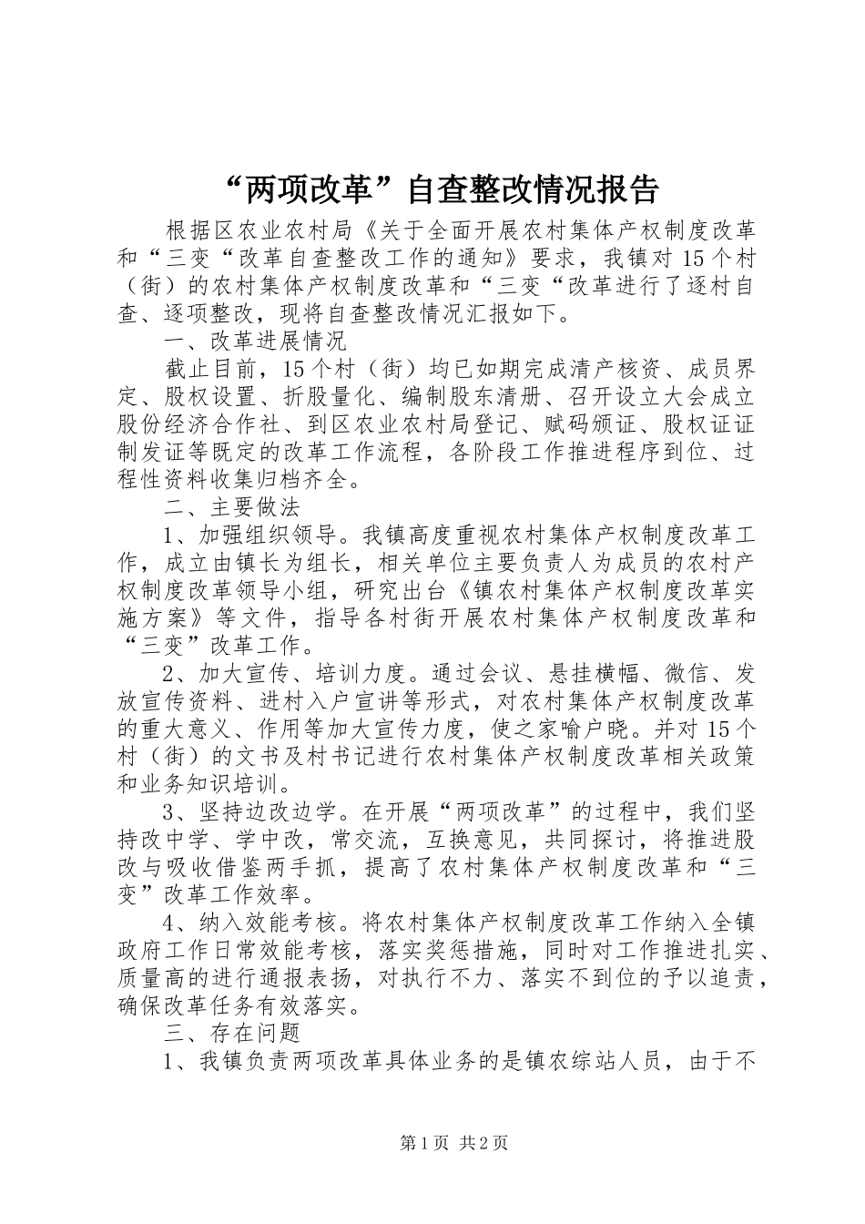 “两项改革”自查整改情况报告_第1页