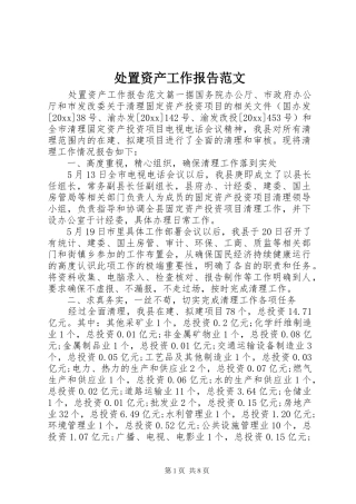 处置资产工作报告范文