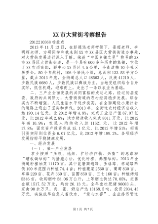 XX市大营街考察报告