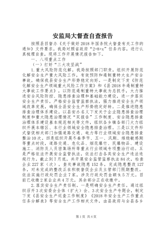 安监局大督查自查报告