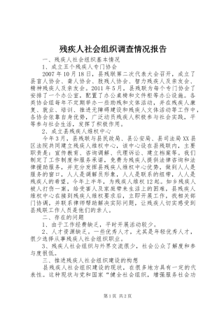 残疾人社会组织调查情况报告