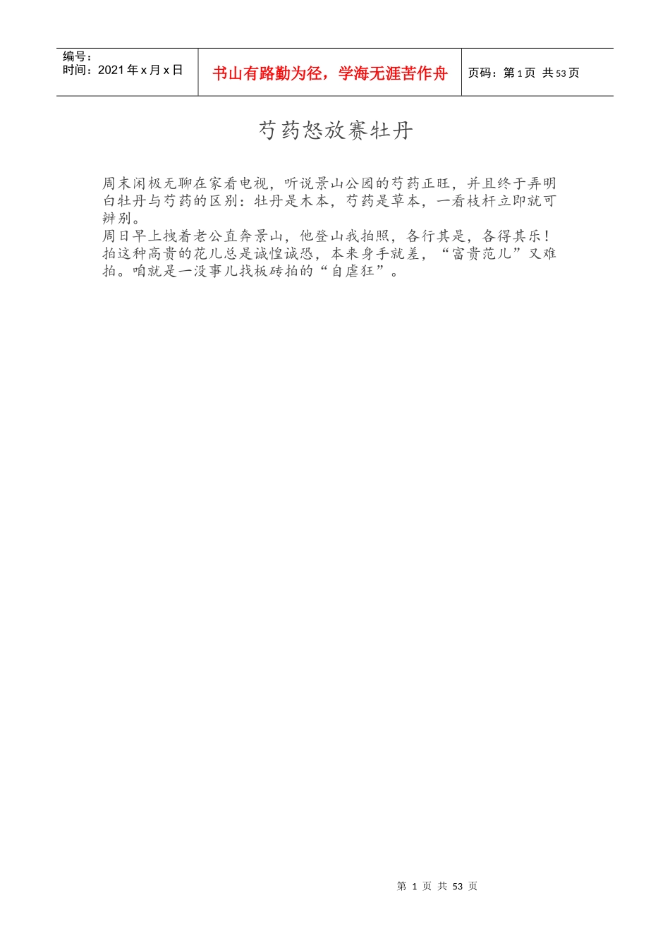 芍药怒放赛牡丹_第1页