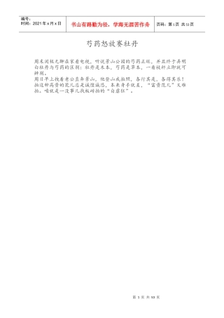 芍药怒放赛牡丹