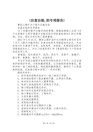 (自查自检,的专项报告)